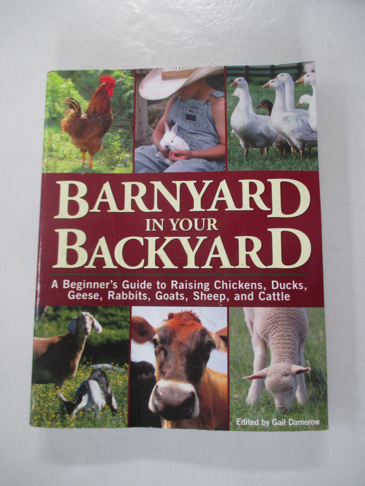 9781580174565 Barnyard In Your Backyard A Beginner S Guide To