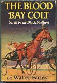 image of The Blood Bay Colt