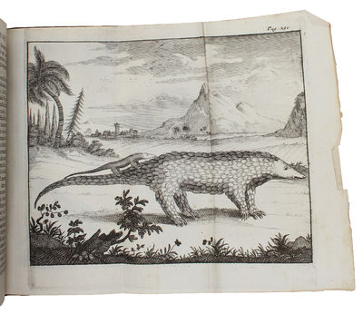 Second voyage du pere Tachard et des jesuïtes envoyés par le roy, au royaume de Siam. - [THE SECOND EMBASSY TO SIAM] (photo 5)