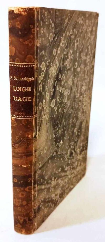 Unge dage - fortælling på vers.