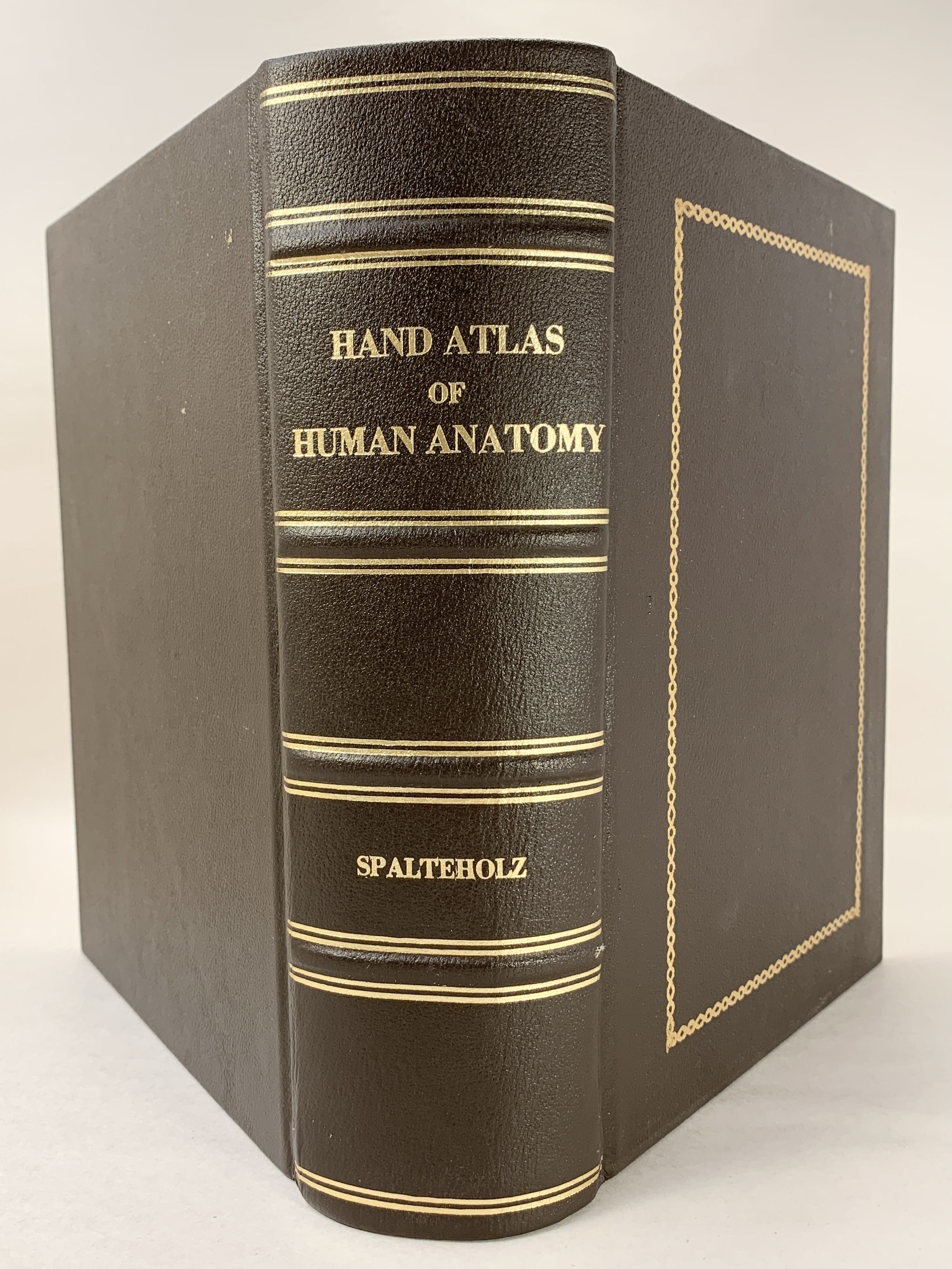 Hand Atlas of Human Anatomy by Spalteholz, Werner | Full leather