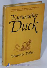 Fairweather Duck