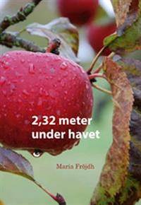 2,32 meter under havet.