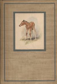 The Red Pony; Illustrated Edition