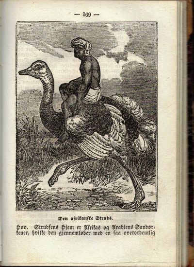 Naturhistorie for Ungdommen. Anden Deel. Fuglene. (photo 2)