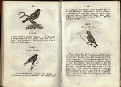 Naturhistorie for Ungdommen. Anden Deel. Fuglene. (photo 3)