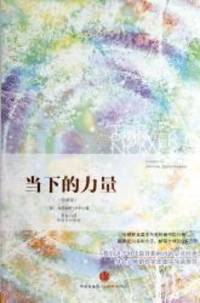 image of The Power of Now: A Guide to Spiritual Enlightenment (Chinese Edition)