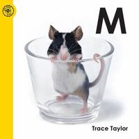 M by Taylor, Trace - 2010