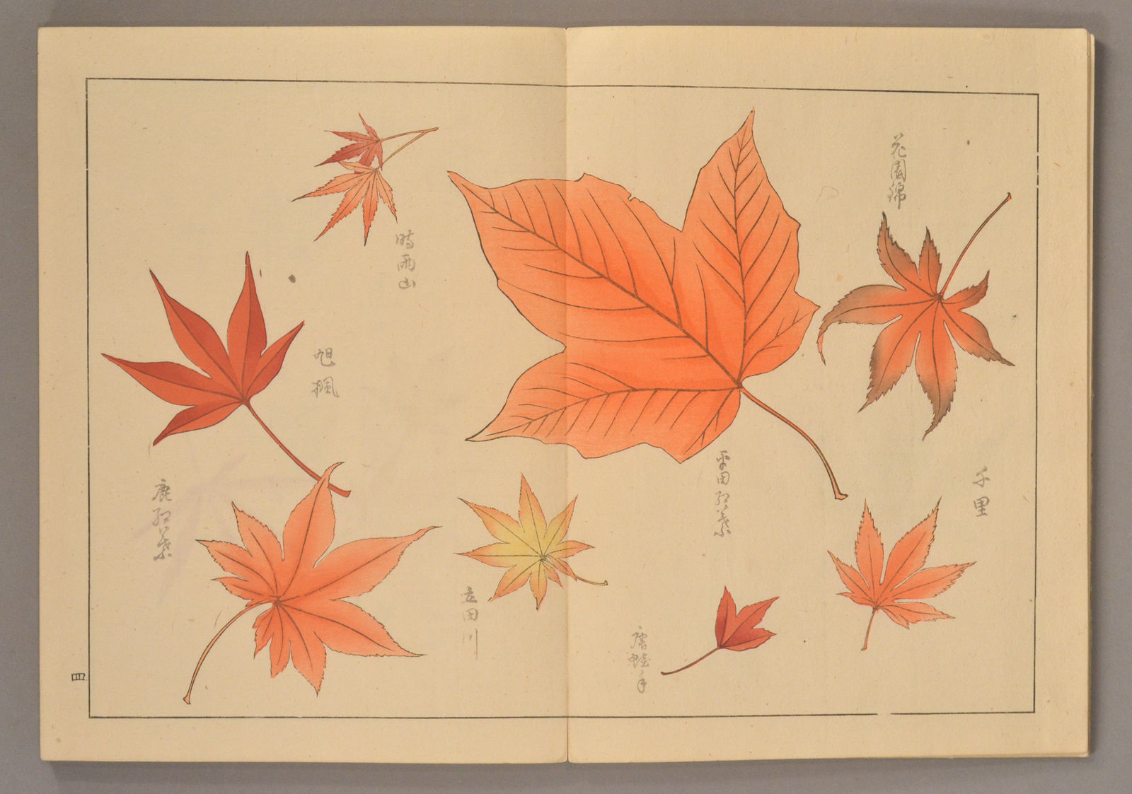 Momiji もみぢ [紅葉] by Kubota Kinsen 久保田金僊, artist | 1911