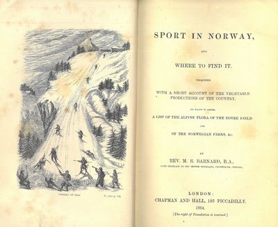 Sport in Norway, and where to find it. Together…