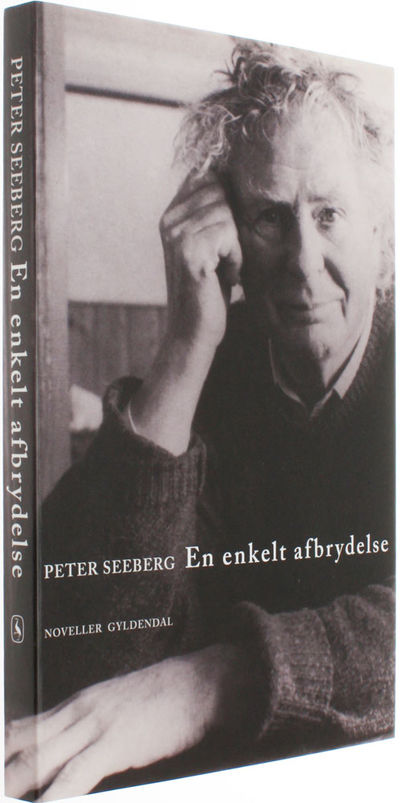 En enkelt afbrydelse. Noveller.