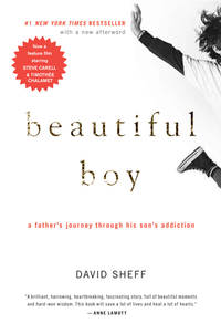 Beautiful Boy : A Father's Journey Through His Son's Addiction