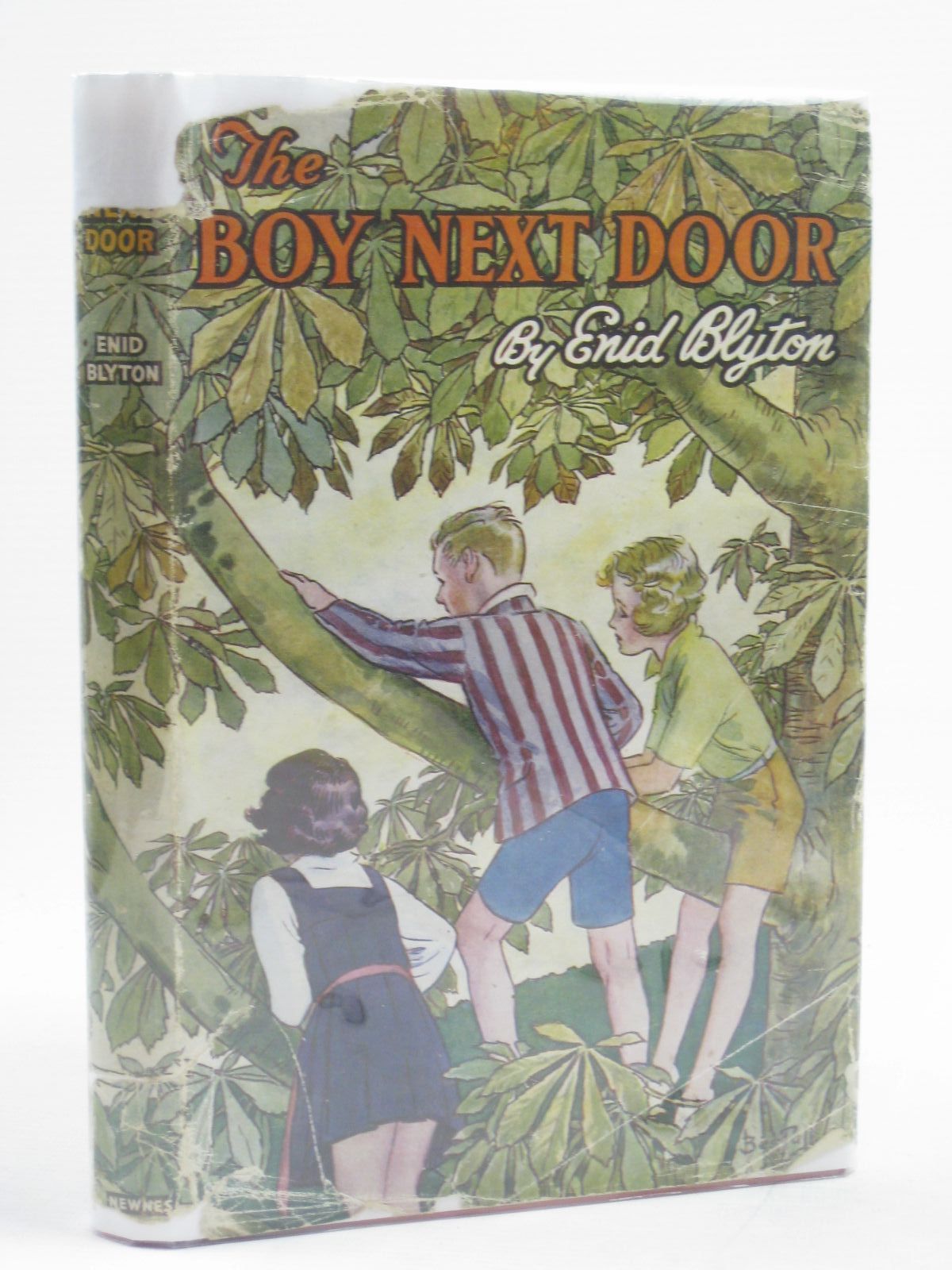 the boy next door book series