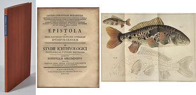 Epistola ad regio-Borussicam societatem…