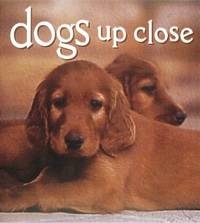 Dogs up Close
