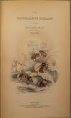 The Natural History of Bees. Comprehending the Uses and Economical Management of the British and Foriegn Honey-Bee; Together with the Known Wild Species,