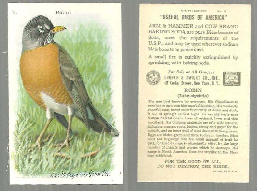 VICTORIAN TRADE CARD FOR ARM AND HAMMER BAKING SODA, USEFUL BIRDS OF