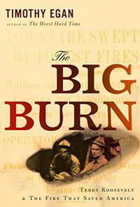 The big burn Teddy Roosevelt and the fire that saved America by Timothy Egan - 2009