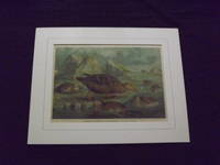 Naturgeschichte der Vogel Mitteleuropas…