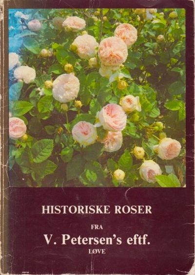Historiske roser fra V. Petersen´s eftf.