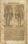 View Image 5 of 7 for The People's Medical Lighthouse; A Series of Popular and Scientific Essays on the Nature, Uses, and ... Inventory #2338803