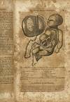 View Image 6 of 7 for The People's Medical Lighthouse; A Series of Popular and Scientific Essays on the Nature, Uses, and ... Inventory #2338803