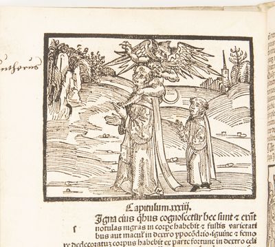 [Prognosticatio]. Hec practice narrat...; (photo 12)