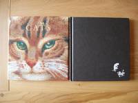 image of V and A Cats