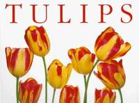 Tulips (Tp)