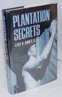 image of Plantation Secrets a novel