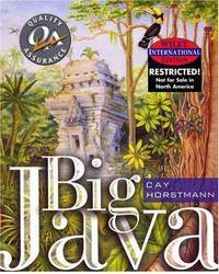 WIE Big Java by Horstmann, Cay S