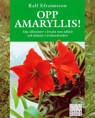 Opp amaryllis! Om lökväxter i kruka som odlats…