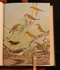 image of Birds of Massachusetts And Other New England States