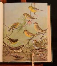 Birds of Massachusetts    And Other New England States