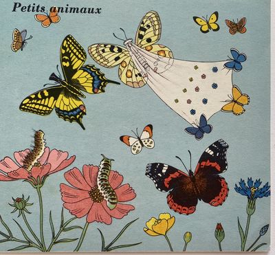 Petits animaux