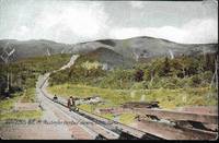 image of Riding Boards on Mt Washington, White Mountains, NH - Undivided Back Pre-1908 Postcard