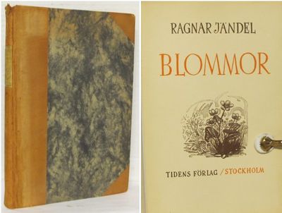 Blommor