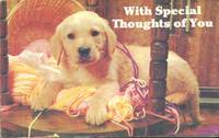 Dog Card - With Special Thoughts of You, used Postcard