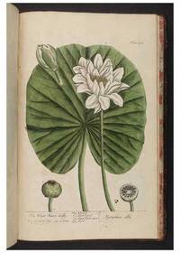 cover of Reproducción/Reproduction 8361172723: A curious herbal. London : Printed for Samuel Harding, 1737-1739.