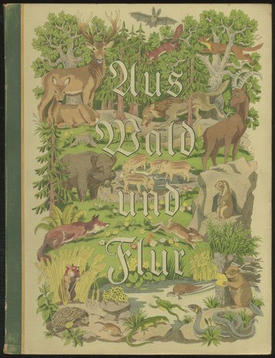 Aus Wald und Flur: Tiere unserer Heimat