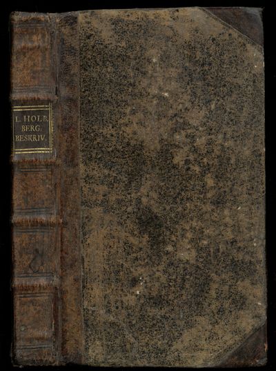 Den Berømmelige Norske Handel-Stad Bergens Beskrivelse ved (...). (photo 2)