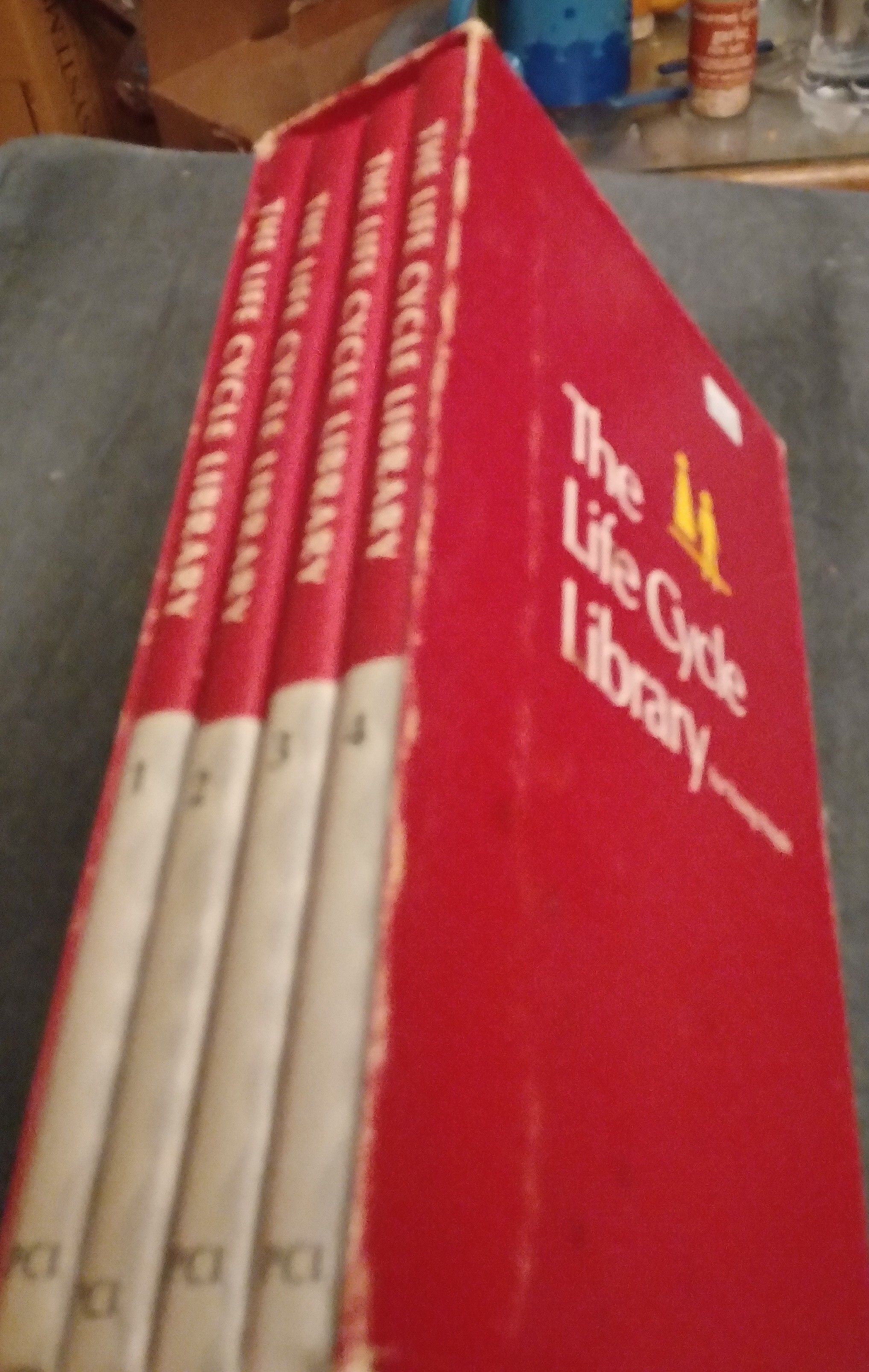The Life Cycle Library for Young People by James Ertel - First Edition ...