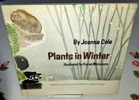 image of PLANTS IN WINTER