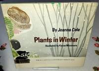 PLANTS IN WINTER