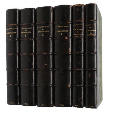 Ichthyologie ou Histoire Naturelle des Poissons. En Six Parties avec 216 Planches dessinées et enluminées d'après Nature. - [FIRST 8VO-EDITION OF BLOCH'S MAGNIFICENT ICHTHYOLOGY] (photo 8)