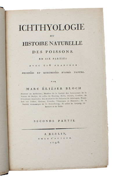 Ichthyologie ou Histoire Naturelle des Poissons. En Six Parties avec 216 Planches dessinées et enluminées d'après Nature. - [FIRST 8VO-EDITION OF BLOCH'S MAGNIFICENT ICHTHYOLOGY] (photo 10)