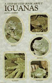 A Step by Step Book about Iguanas