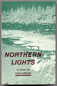 image of Northern Lights