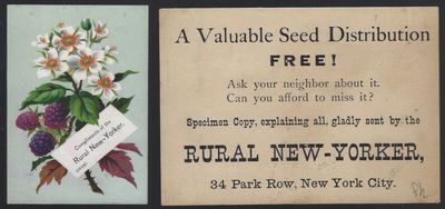 VICTORIAN TRADE CARD FOR RURAL NEW YORKER WITH BLACKBERRIES