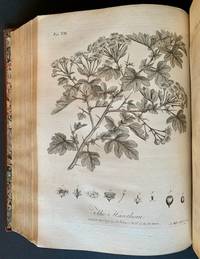 Silva: or. a Discourse of Forest-Trees, and the Propagation of Timber in His Majesty's Dominions: As It Was Delivered in the Royal Society on the 15th Day of October, 1662, upon Occasion of Certain Quaeries Propounded to That Illustrious Assembly, by the Honourable the Principal Officers and Commissioners of the Navy. Together with an Historical Account of the Sacredness and Use of Standing Groves